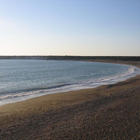 Paphos Love Nest Apartment Oda fotoğraf